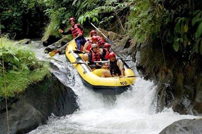 Ubud White Water Rafting on the Ayung River with Pickup & Lunch - Quick take: what you’ll notice on the Ayung