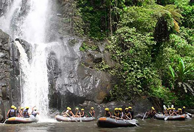 Ubud White Water Rafting on the Ayung River with Pickup & Lunch - Price and logistics: is $27 a deal or just marketing?