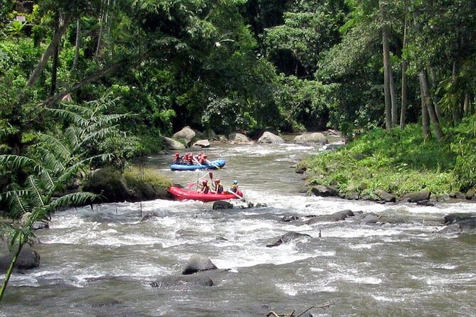 Ubud White Water Rafting with Waterfall and Lunch - The Stairs Reality Check: Why This Is the One Thing You Must Plan For