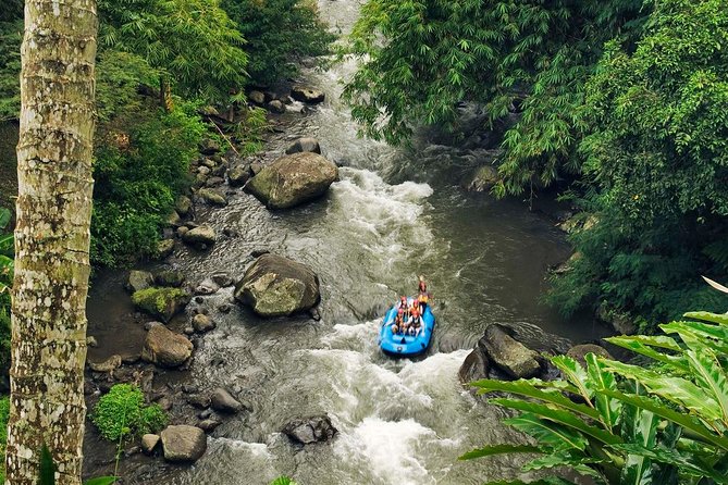 Ubud White Water Rafting with Waterfall and Lunch - The Real Deal on the Water: Paddling with a Pro Guide