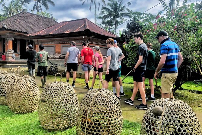 Ubud Wonderful Half Day Downhill Cycling Tour with Lunch - The Small-Group Cap, and Why It Changes Your Ride