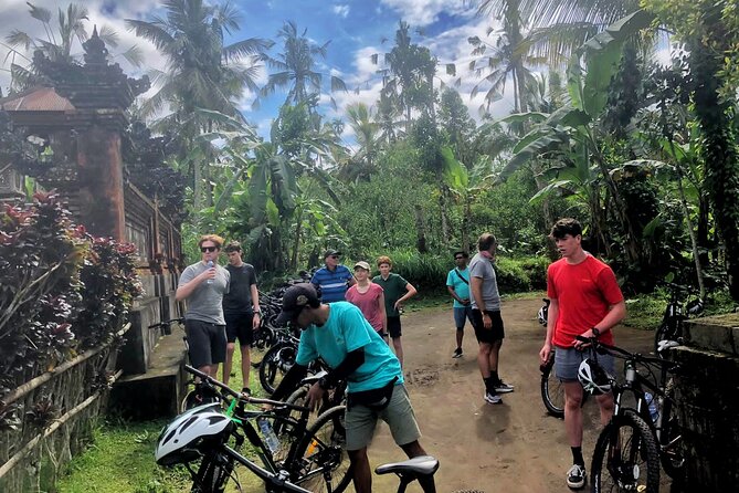 Ubud Wonderful Half Day Downhill Cycling Tour with Lunch - Plantation Fruit Tasting: Learning Bali Through Flora
