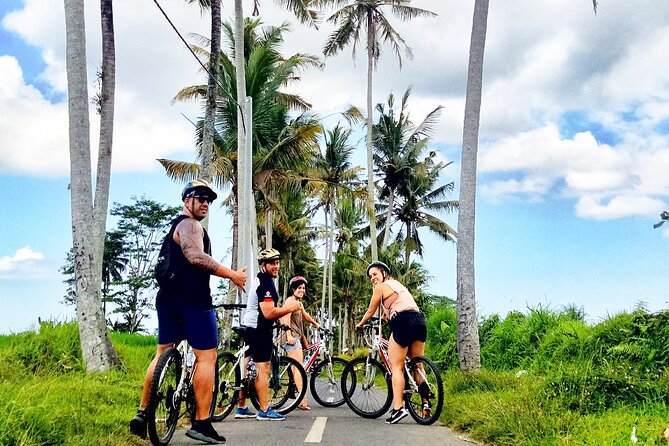 Ubud Wonderful Half Day Downhill Cycling Tour with Lunch - Manukaya: The Mostly Downhill Villages Route