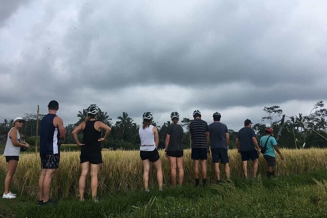 Ubud Wonderful Half Day Downhill Cycling Tour with Lunch - Banjar Laplapan Lunch: Balinese Food That Actually Works for Groups
