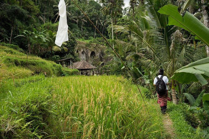 UNESCO Sites Cultural Walking Tour in Bali - Tirta Empul purification ritual, plus the rules that make it meaningful