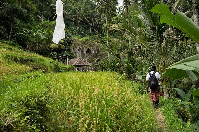 UNESCO Sites Cultural Walking Tour in Bali - Friends in Bali: a meal break with a purpose