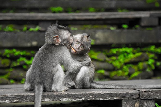 Utterly Ubud - Lunch, Water, and the Value of Included Admissions