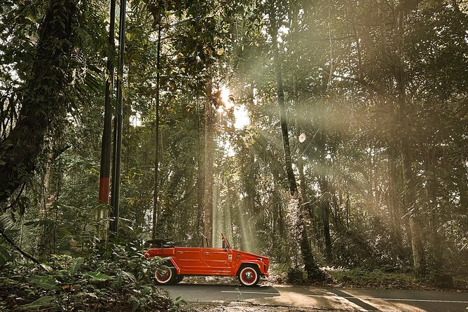 Vintage Volkswagen Bali Tour - Tegenungan Waterfall: swim time, but keep your safety brain switched on