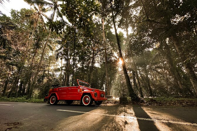 Vintage Volkswagen Bali Tour - Delodsema Traditional Village in Tegallalang: craft work and real daily life