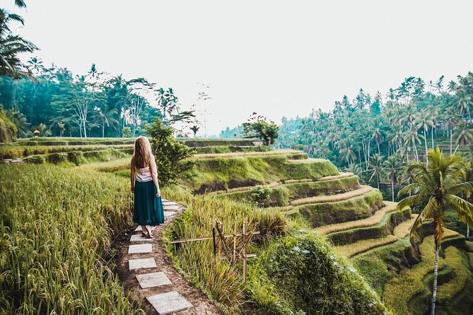 Volcano Jeep Adventure and Ubud Tour - Price and value at $85 per person