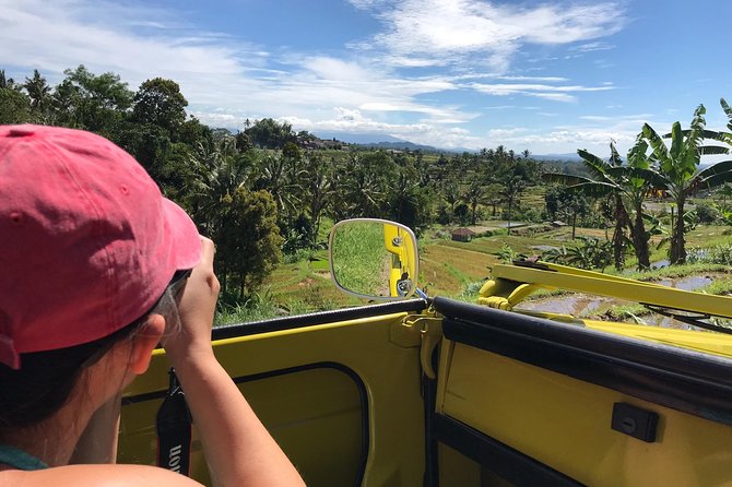 VW Safari,Bayan Ancient Tree,Jatiluwih,Wanagiri,Banyumala Twin Waterfalls - Price and Value at $89: Where Your Money Actually Goes