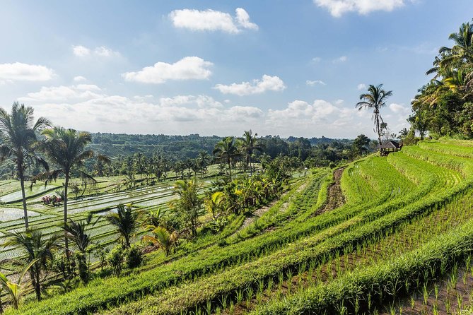 West Bali Tour: Taman Ayun, Ulun Danu Beratan, Jatiluwih Rice Terrace, Tanah Lot - Tanah Lot at Sunset: The Sea Temple Finale