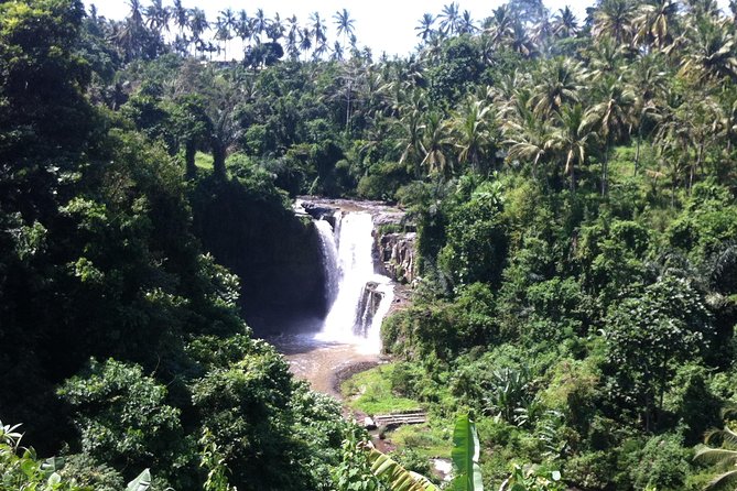 Wonderful Of Ubud Tours - Goa Gajah (Elephant Cave): A Temple Stop With Archaeological Weight