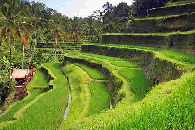 Wonderful Of Ubud Tours - Craft Centers That Actually Explain the Work: Wood, Silver, and Batik